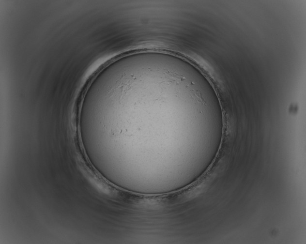 X0000096631078200802121042