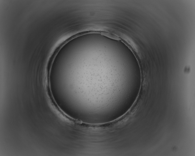 X0000096631080200802121042