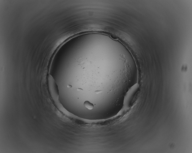 X0000096631081200802121042