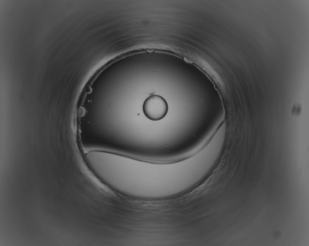 X0000096631084200802121042