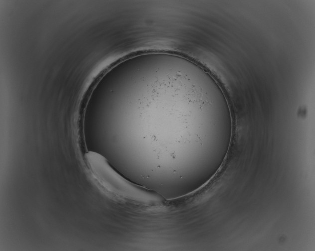 X0000096631085200802121042