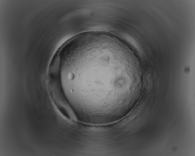 X0000096631087200802121042