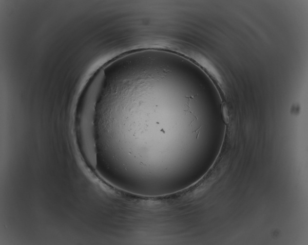 X0000096631088200802121042