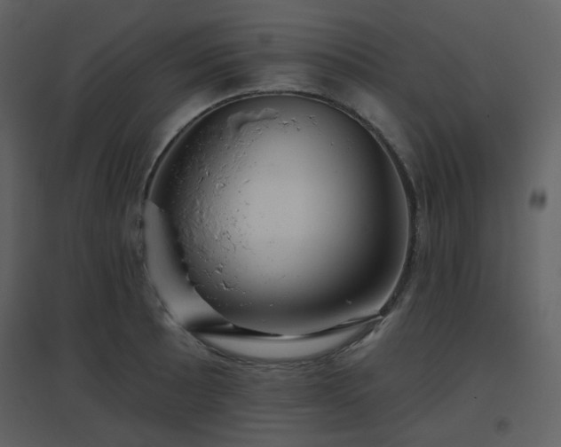 X0000096631089200802121042