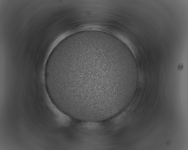X0000096631090200802121042