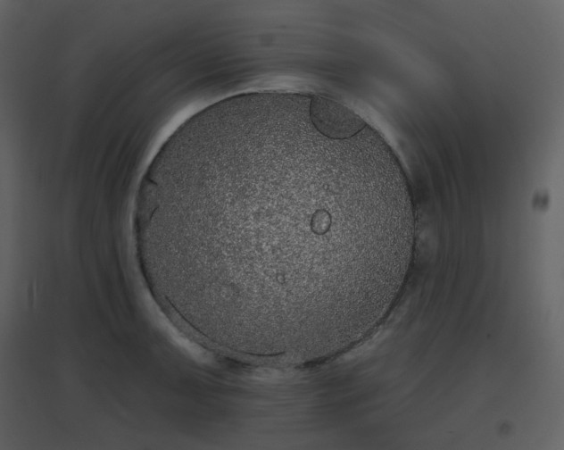 X0000096631091200802121042