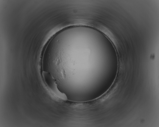 X0000096631093200802121042