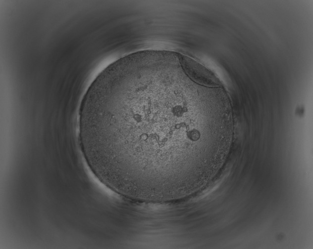 X0000096631095200802121042