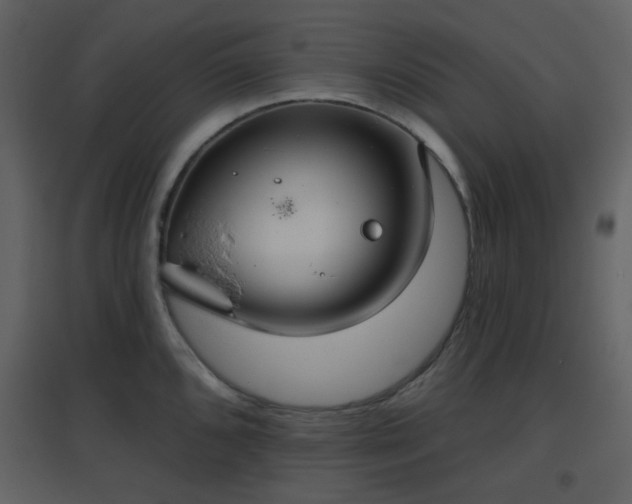 X0000096631096200802121042