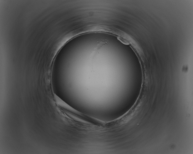 X0000096631097200802121042