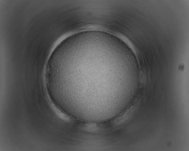 X0000096631098200802121042