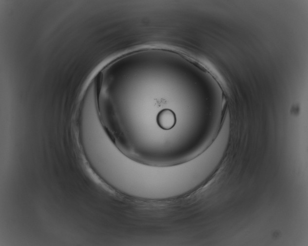 X0000096631100200802121041