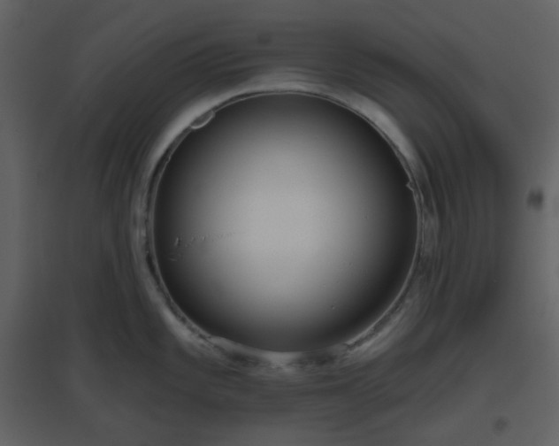 X0000096631101200802121041