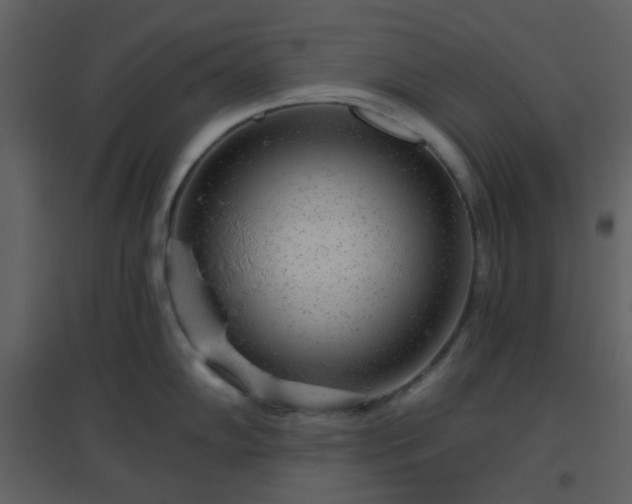 X0000096631102200802121041