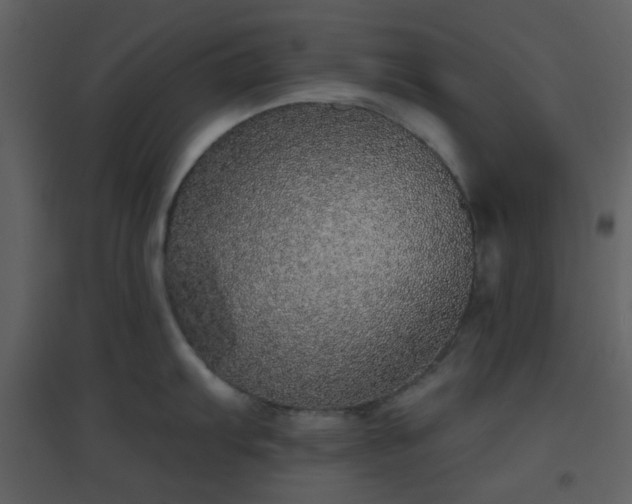 X0000096631103200802121041