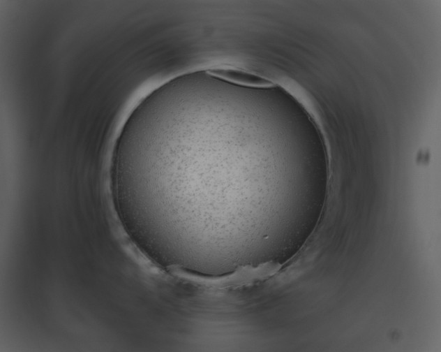 X0000096631104200802121041