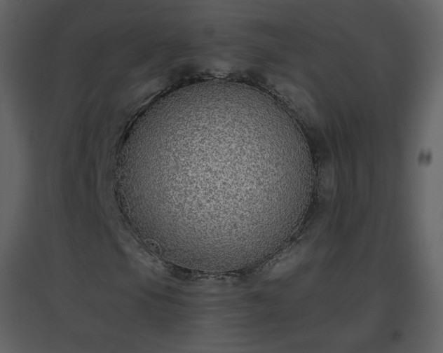 X0000096631105200802121041