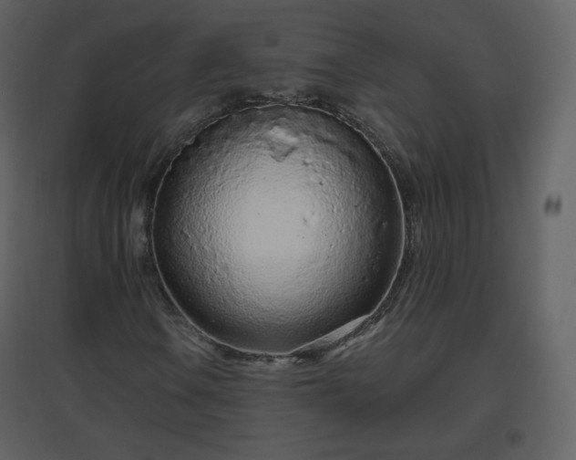 X0000096631106200802121041