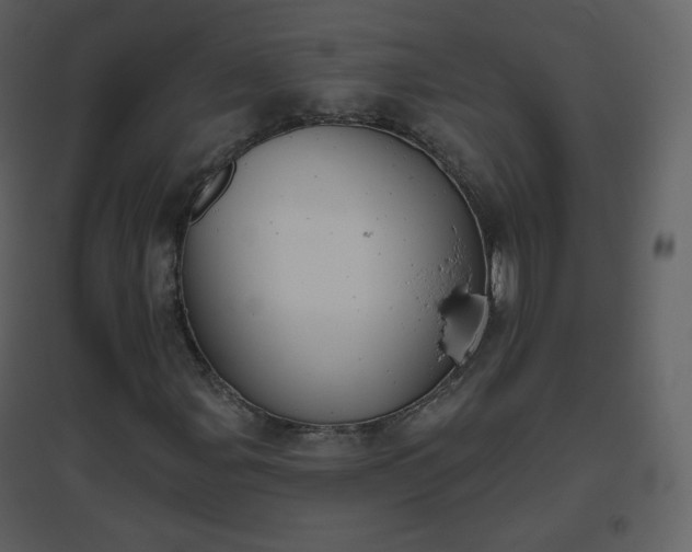 X0000096631107200802121041