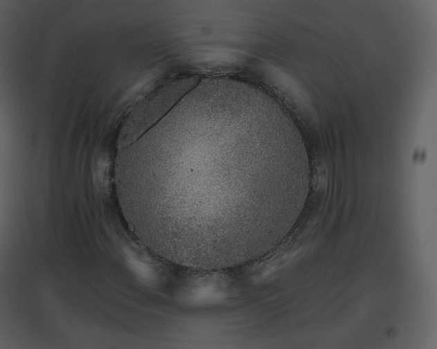 X0000096631108200802121041