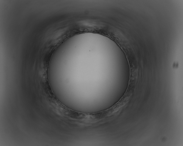 X0000096631109200802121041