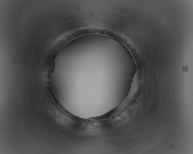 X0000096631110200802121041