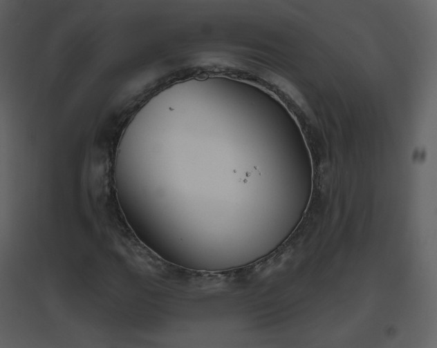 X0000096631111200802121041