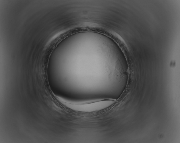 X0000096631112200802121041