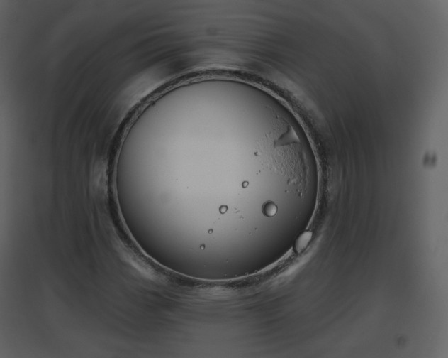 X0000096631113200802121041