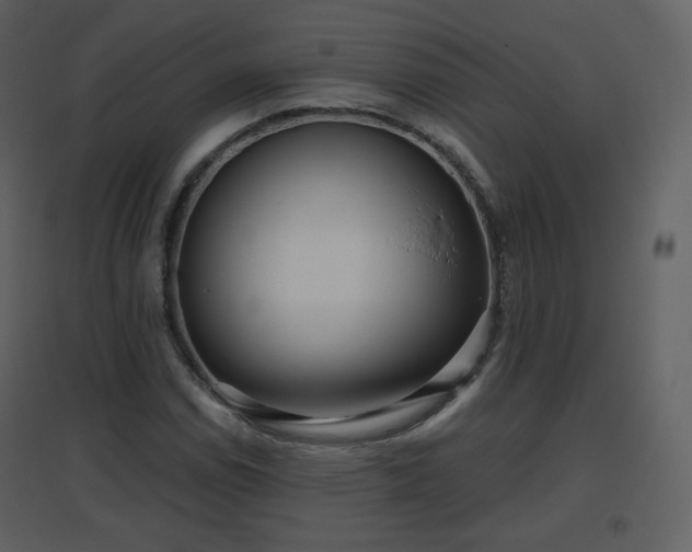 X0000096631114200802121041