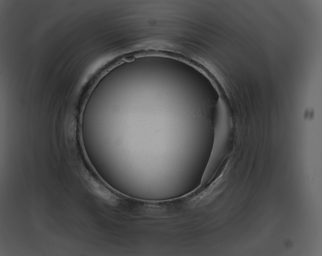 X0000096631115200802121041