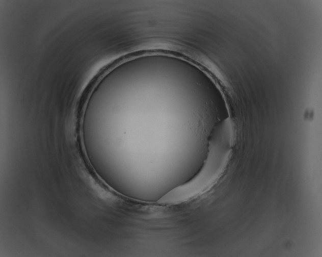 X0000096631116200802121041