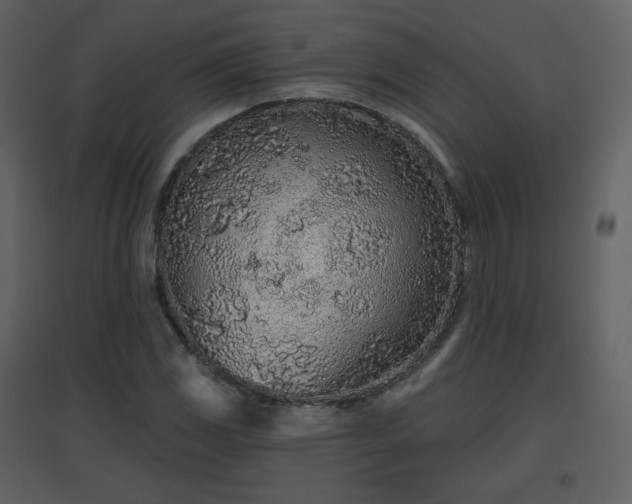 X0000096631117200802121041