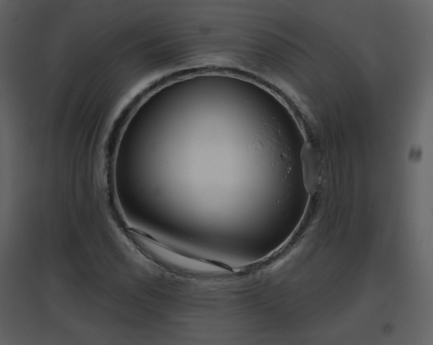 X0000096631118200802121041