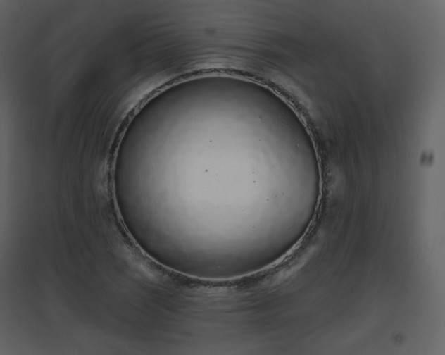 X0000096631121200802121041