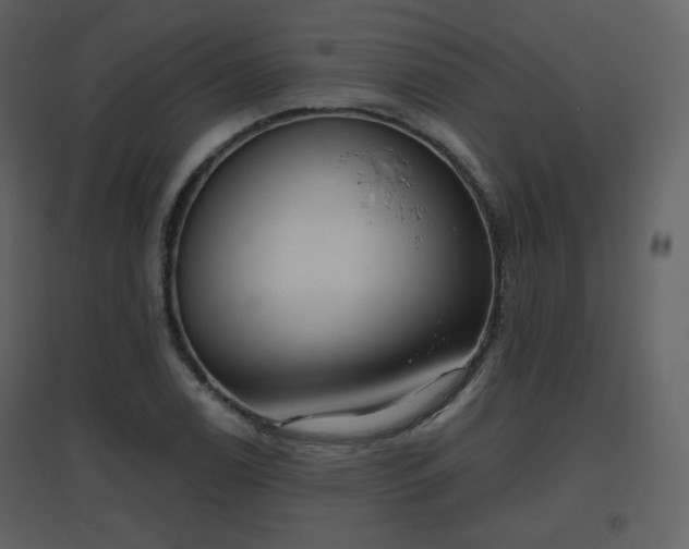 X0000096631122200802121041