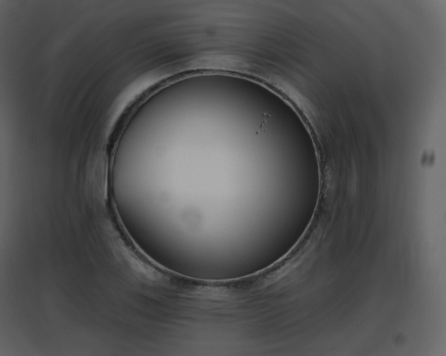 X0000096631123200802121041