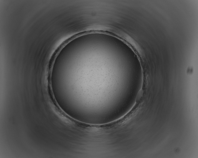 X0000096631124200802121041