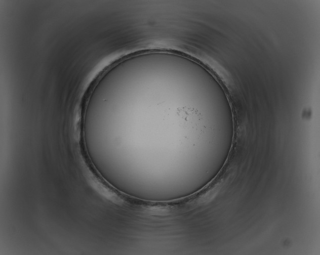 X0000096631126200802121041