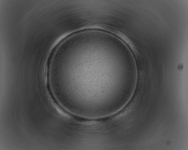 X0000096631127200802121041