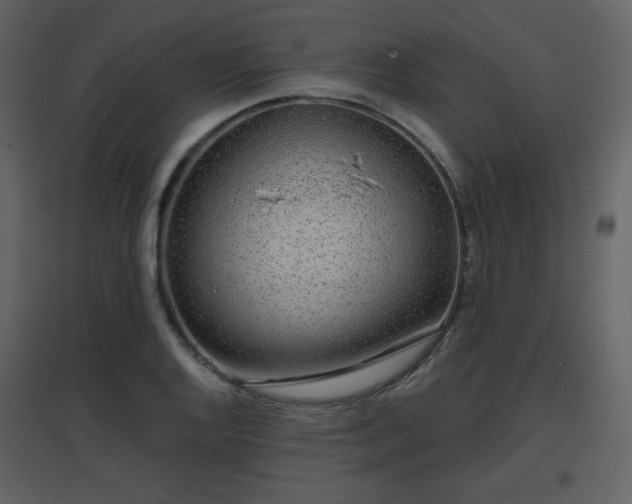 X0000096631128200802121041