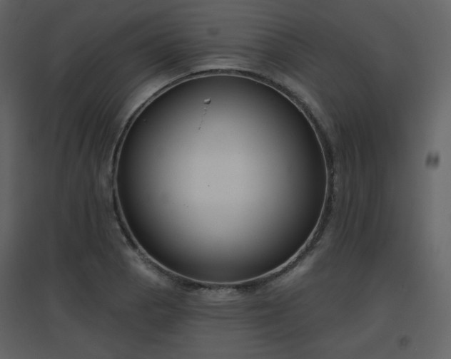 X0000096631129200802121041