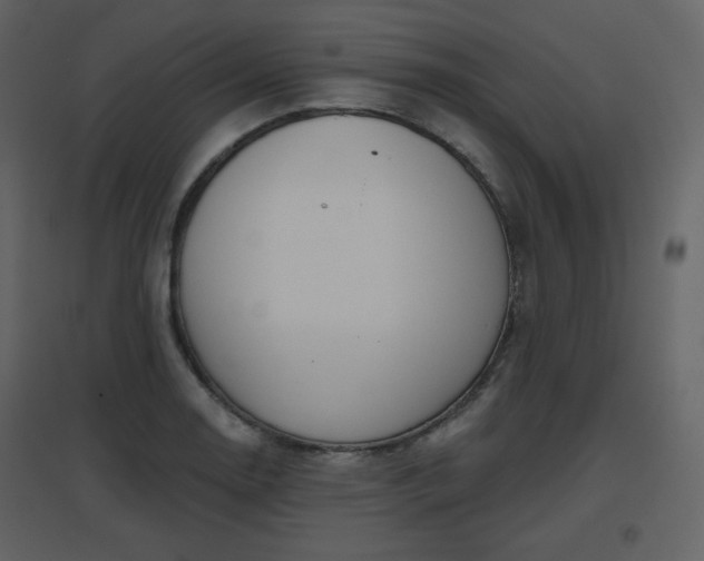 X0000096631130200802121041