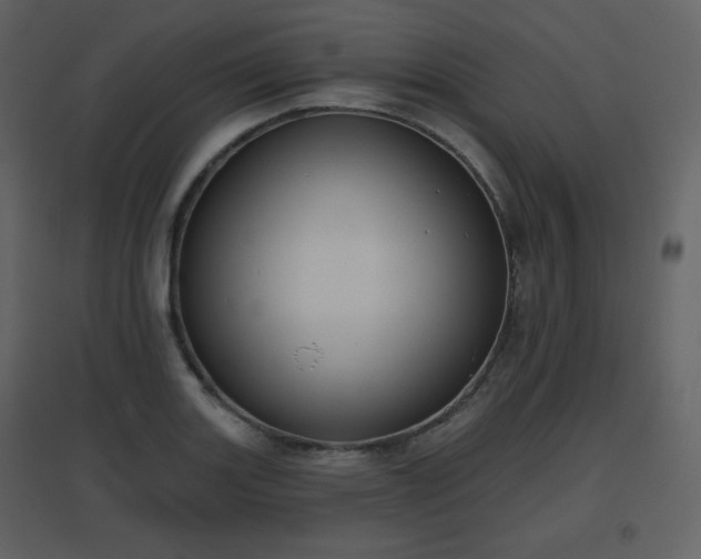 X0000096631131200802121041