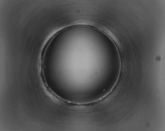 X0000096631132200802121041