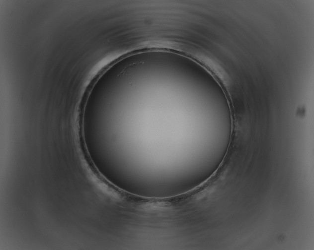 X0000096631133200802121041