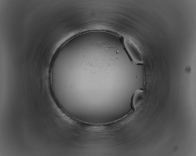 X0000096631134200802121041