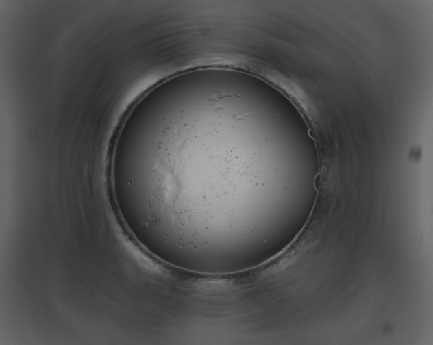 X0000096631135200802121041