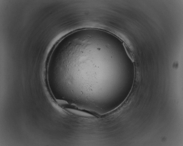 X0000096631136200802121041