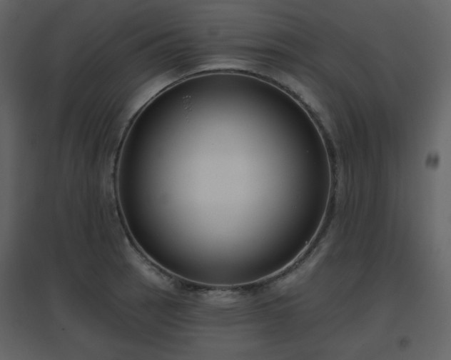 X0000096631137200802121041